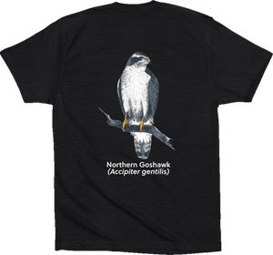 goshawk t-shirt black